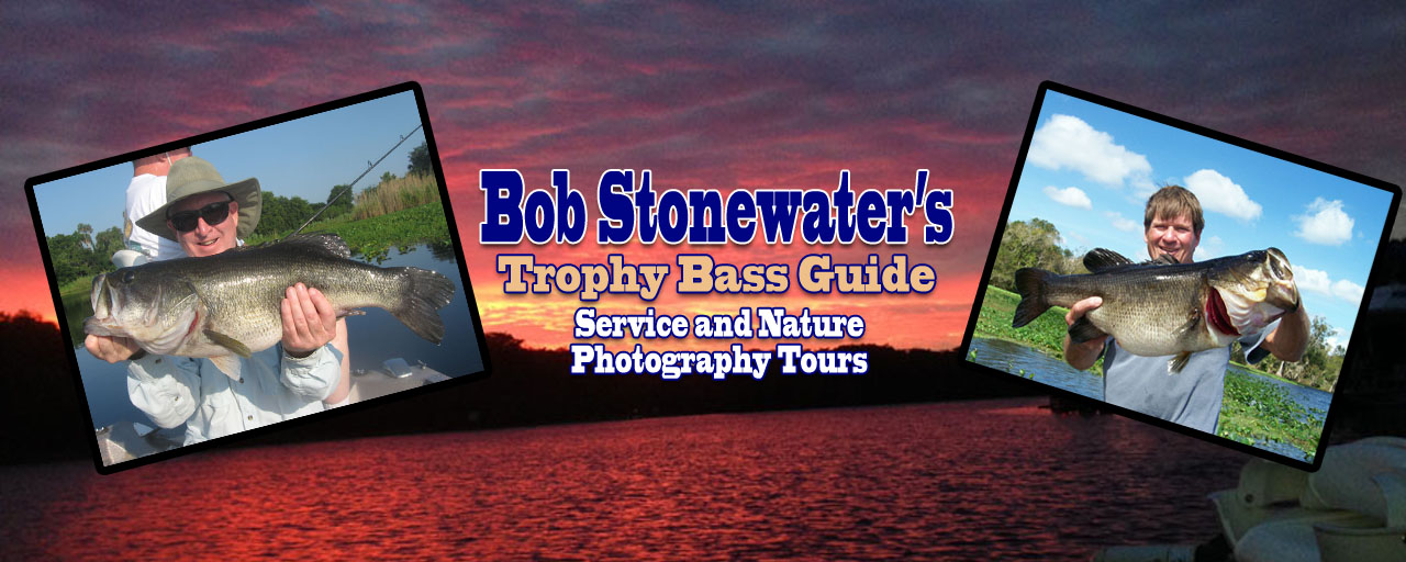 Bob Stonewater's Trophy Bass Guide Service